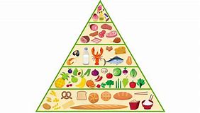 Food Pyramid.jpg