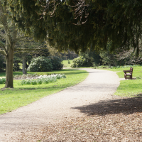 New guidelines for enjoying parks