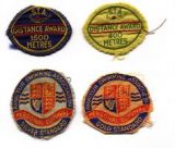 Swim Badges Did you use to sew them onto your swim costumes?